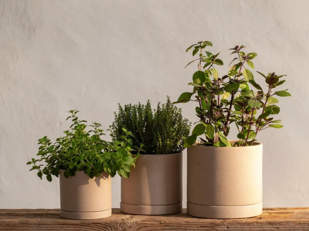 Grüne Erde Wohndekoration^Blumentopf aus Steingut, natur, 11,5 x 10,5 cm