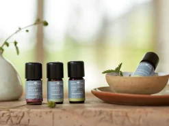 Grüne Erde Geschenke-Guide|Körper- & Basisöle^JOJOBAÖL Basisöl 100 ml