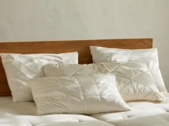 Grüne Erde Kopfkissen^Komfortkissen Duo