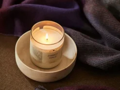 Grüne Erde Winter-Duftwelt|Geschenke-Guide^Natürliche Rapswachskerze ZIRBENWALD im rezyklierten Glas, Baumwolldocht, 325 ml, H 9,5 cm, ø 8,5 cm