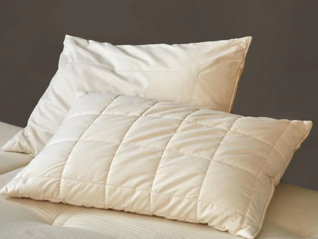 Grüne Erde Kopfkissen|Geschenke-Guide^Schlafkissen Baumwolle kbA, Schurwolle/Kapok, niedrig, 40 x 60 cm