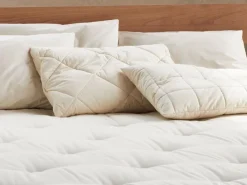 Grüne Erde Kopfkissen^Schlafkissen Baumwolle kbA, Hirse kbA, Standard, 40 x 60 cm, GOTS, NATURTEXTIL-BEST, VEGAN