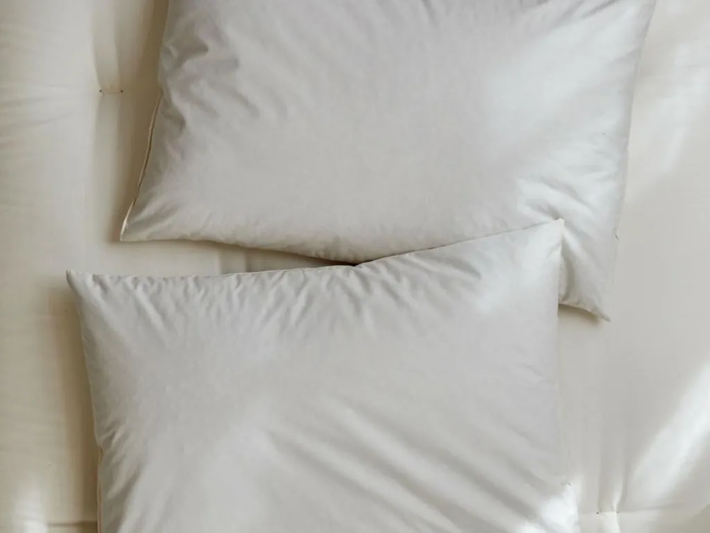 Grüne Erde Kopfkissen|Einschlafhilfen^Schlafkissen Dinkel/Lavendel Pur, Standard, 40 x 60 cm, GOTS, NATURTEXTIL BEST, VEGAN