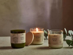 Grüne Erde Kerzen Und Duftkerzen|Geschenke-Guide^Zirbenholzdeckel für rezykliertes Glas unserer Duftkerze